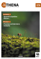 Septembre - Octobre 2026 