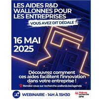 Affiche Les aides R&D wallonnes pour les entreprises. Vous avez dit dédale ?